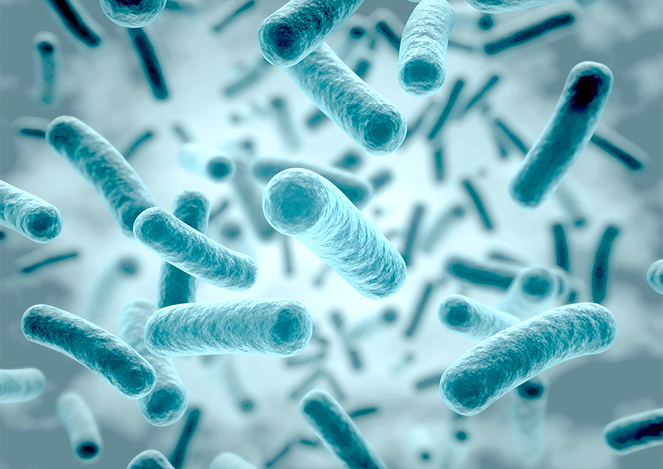 生活習慣と歯周病の関係
